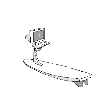 Surf n Surf