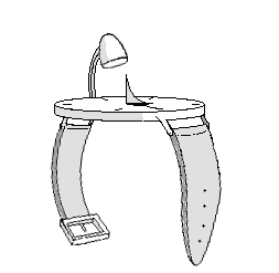 wrist model