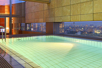 Grand-Hyatt-Tokyo-Penthouse